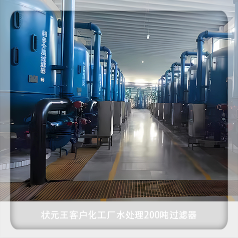 状元王客户化工厂水处理200吨过滤器