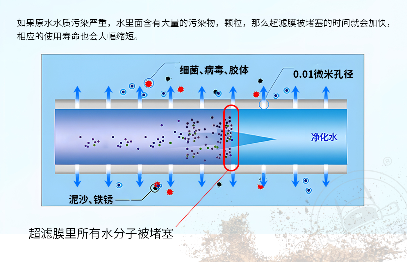 状元王-超滤膜效果展示