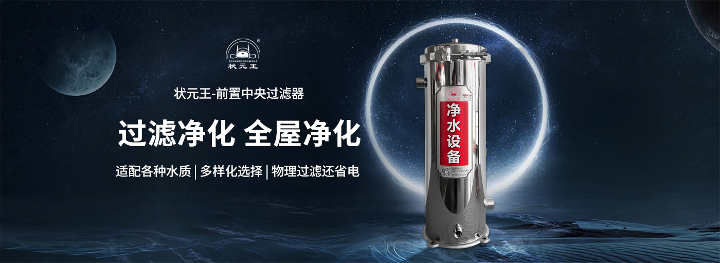 精密过滤器结构和原理