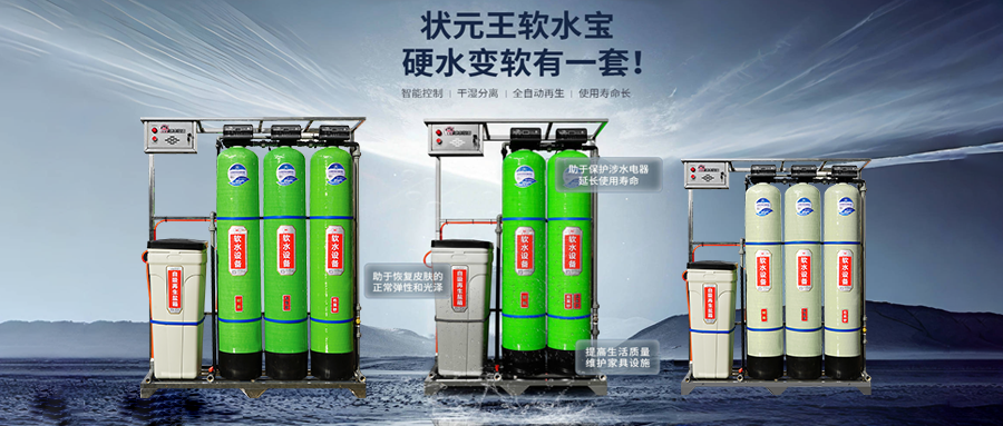 状元王净水洗涤店5t/h软化水设备客户案例